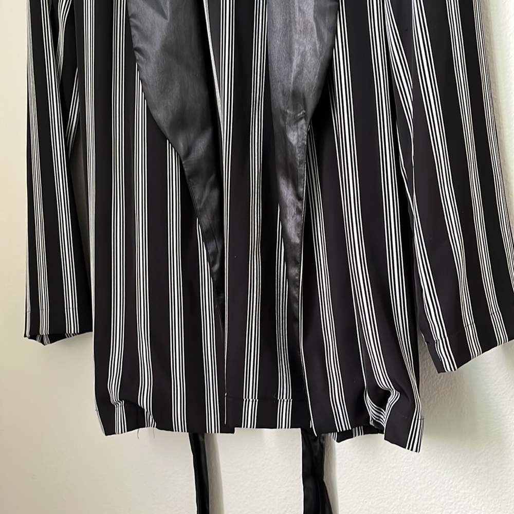 Zara Striped Jacket - Picture 5 of 8